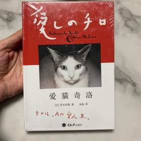 爱猫奇洛