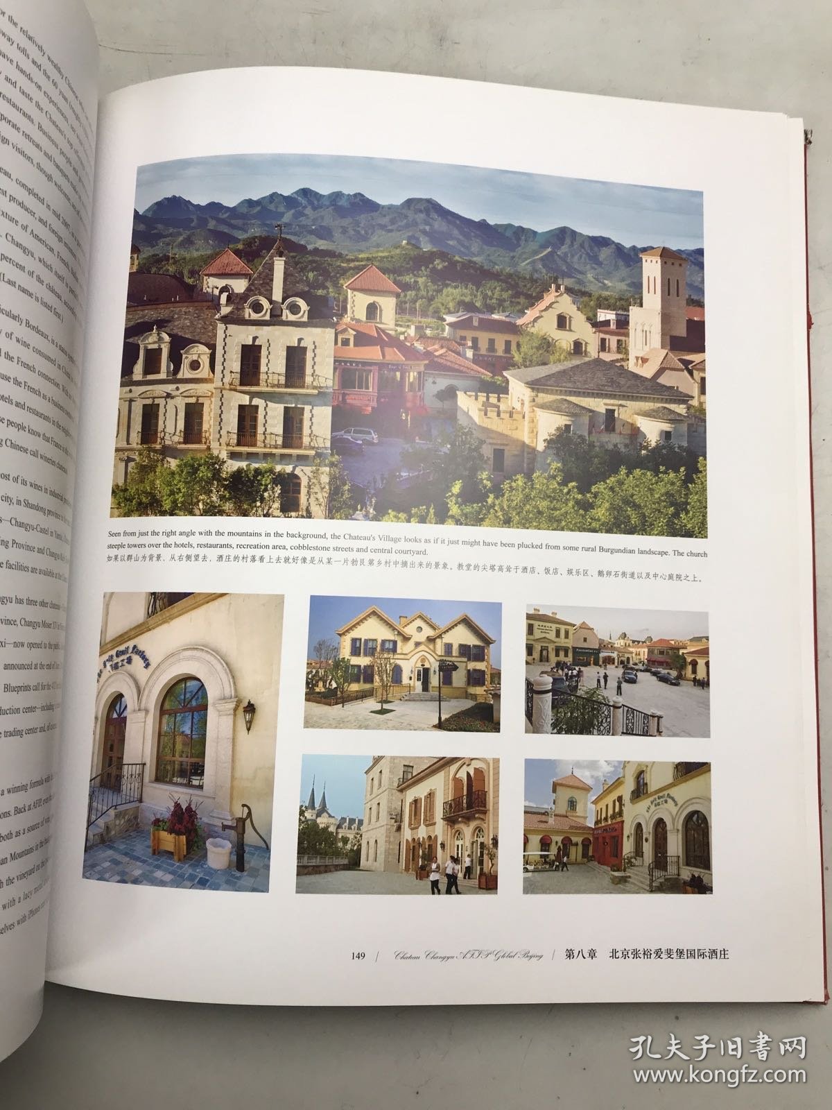 世界名酒名庄品鉴丛书：中国，葡萄酒新贵