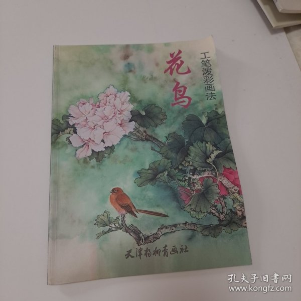 花鸟工笔泼彩画法