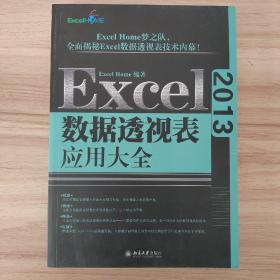 Excel 2013数据透视表应用大全