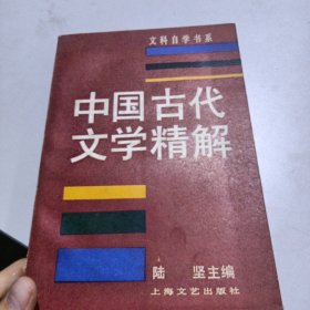 文科自学书系——中国古代文学精解