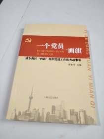 一個(gè)黨員一面旗:浦東新區(qū)“兩新”組織黨建工作優(yōu)秀故事集