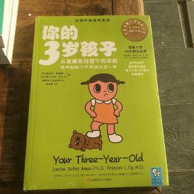 你的3岁孩子：从友善到对着干的年龄，培养创造力不可错过这一年