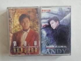 磁带：刘德华专辑：《我和我追逐的梦》《真情难收》，共2盒，可拆卖（磁带多购只收一次邮费）