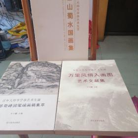 百年大师岑学恭艺术生涯（3本合售）