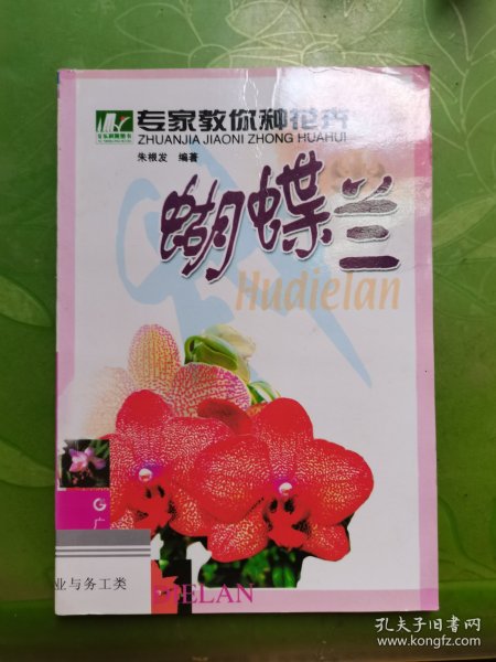 专家教你种花卉 蝴蝶兰