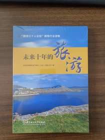 未来十年的旅游
