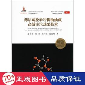 复杂油气藏物理-化学强化开采工程技术研究与实践丛书;7薄层疏松砂岩稠油油藏高效注汽热采技术