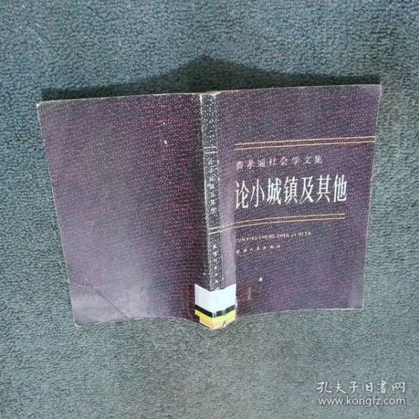 论小城镇及其他 费孝通 天津人民出版社
