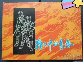 大精装(战火中的青春)原封