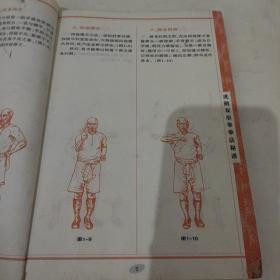 南派洪家三绝系列：虎鹤双形拳（经典珍藏版）