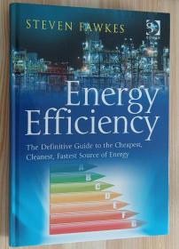 英文书 Energy Efficiency: The Definitive Guide to the Cheapest, Cleanest, Fastest Source of Energy 1st Edition by Steven Fawkes (Author)