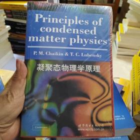 凝聚态物理学原理：英文版