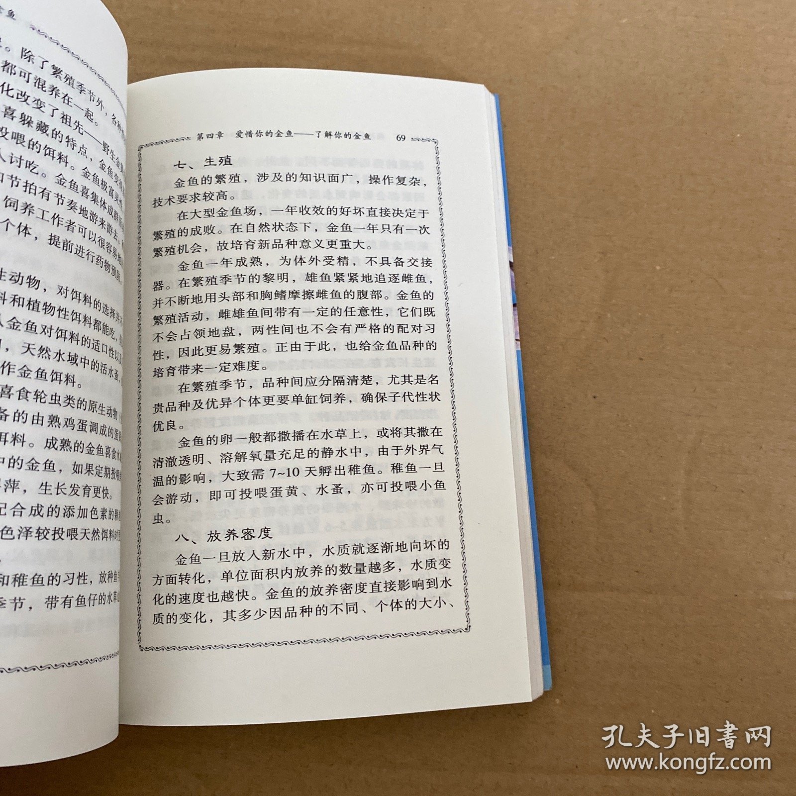 轻松养金鱼/宠物爱典系列