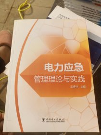電力應急管理理論與實踐