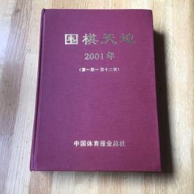 围棋天地2001年（第一期—第十二期）