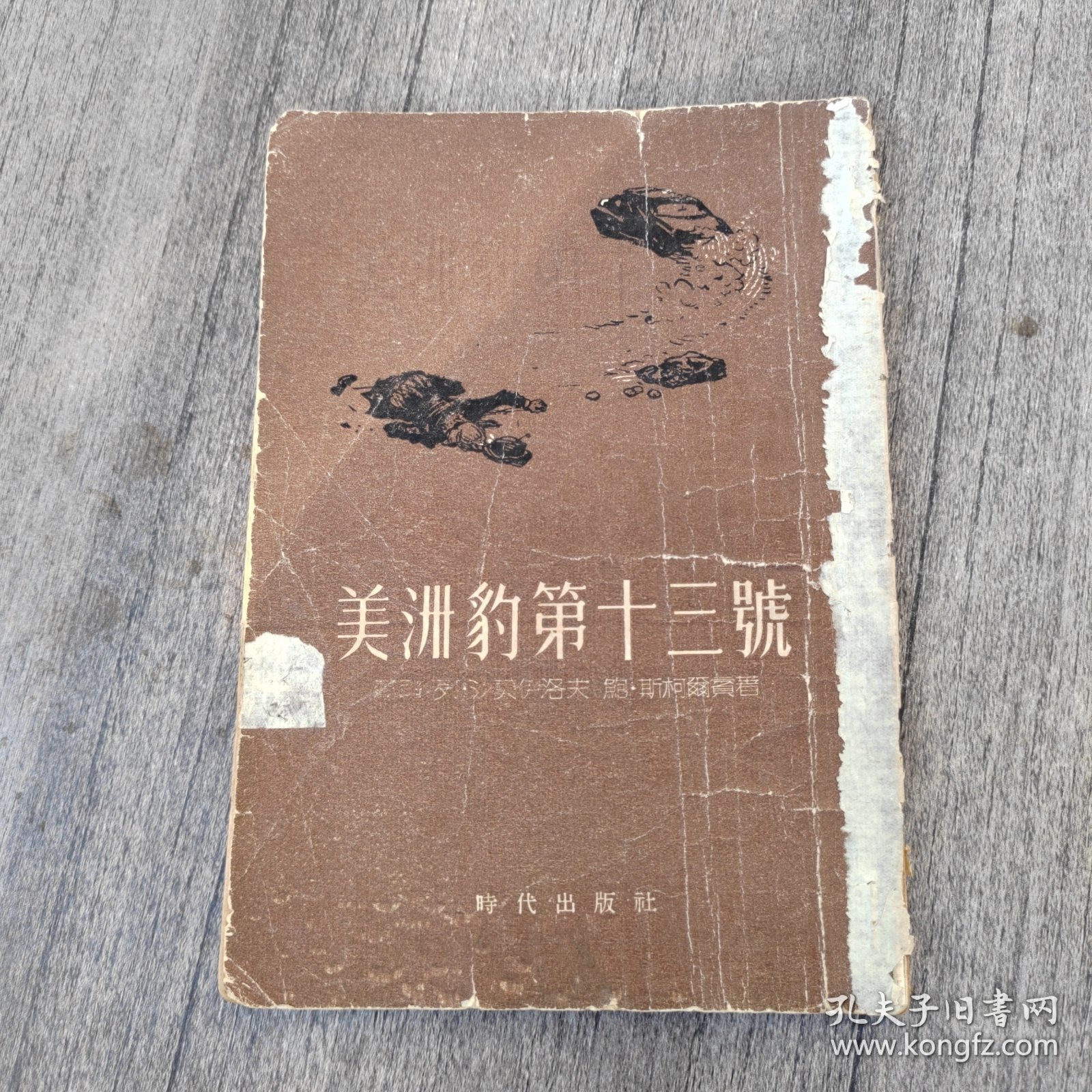 美洲豹第十三號