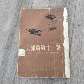 美洲豹第十三號