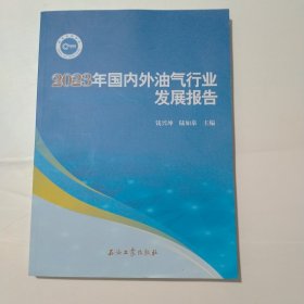 2023年国内外油气行业发展报告