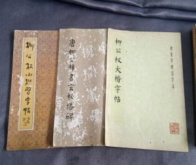 唐柳公权书玄秘塔碑（修订版），柳公权大楷字帖，柳公权小楷字帖（三本合售）