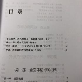 第五项修炼：学习型组织的艺术与实务