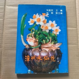 漳州水仙花