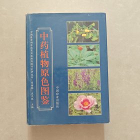 中药植物原色图鉴