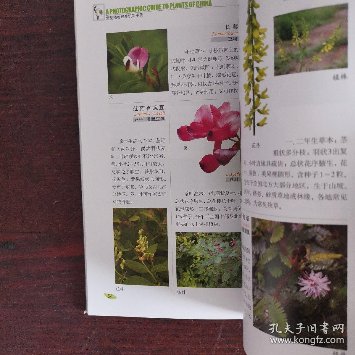 常见植物野外识别手册