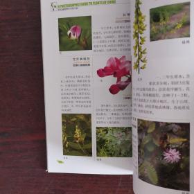 常见植物野外识别手册