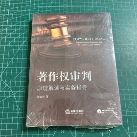 著作权审判：原理解读与实务指导