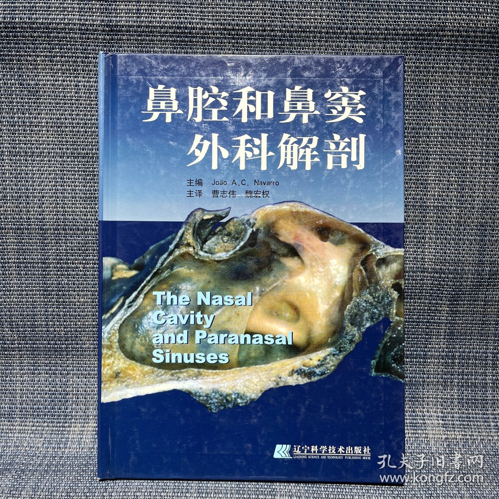 鼻腔和鼻窦外科解剖