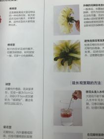 花艺设计花材使用手册