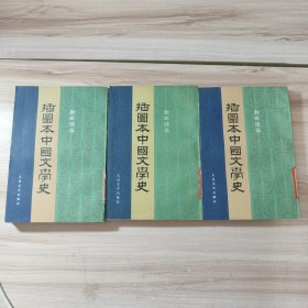 三册插图本中国文学史一、三、四 三册