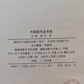 中国现代艺术史：1979-1989