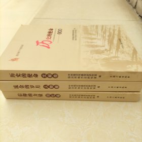 临汾南下干部实录3册全