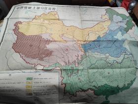 中学生地理挂图 中国植被土埌分区挂图