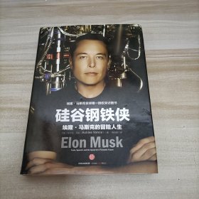 硅谷钢铁侠：埃隆·马斯克的冒险人生