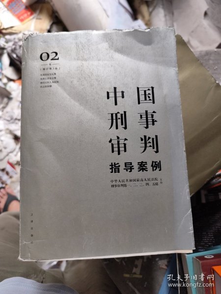 中国刑事审判指导案例2(增订第3版 危害国家安全罪 危害公共安全罪 侵犯公民人身权利 民主权利罪)