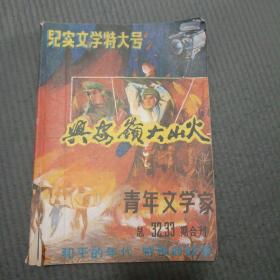 青年文学家