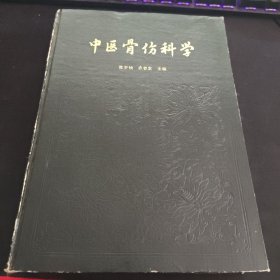 中医骨伤科学 精装