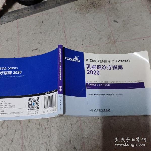 中国临床肿瘤学会（CSCO）乳腺癌诊疗指南2020