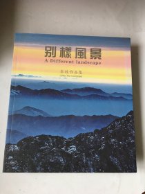 别样风景 李枚作品集，