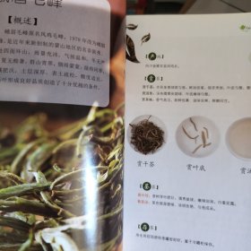 鉴茶・泡茶全图解