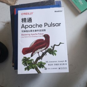 精通Apache Pulsar：可伸缩云原生事件流实践