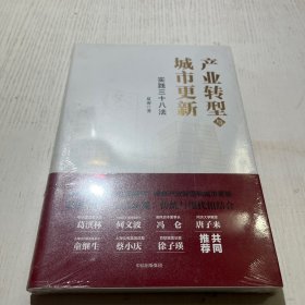 产业转型与城市更新：实践三十八法