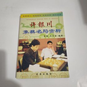 许银川象棋名局赏析