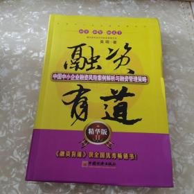 融资有道：中国中小企业融资风险案例解析与融资管理策略（精华版2）软精装