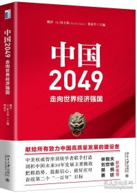 中国2049：走向世界经济强国（北大经管）