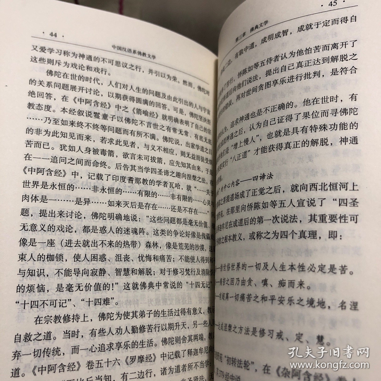 中国汉语系佛教文学