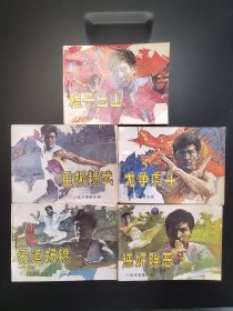 武术家霍东阁（全套5全）众里挑岀的无锈美品